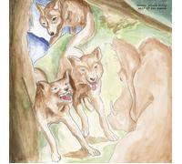 Bonnie"prince"billy&matt Sweeney Wolf of the Cosmos (CD)