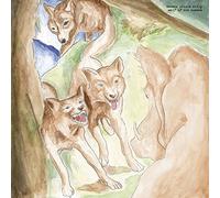 Bonnie Prince Billy - Wolf Of The Cosmos