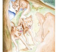 Bonnie Prince Billy Wolf of the Cosmos (Vinyl LP) 12" Album