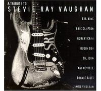 Bonnie Raitt Tribute to Stevie Ray Vaughan (CD)