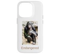 Bonobo Camicia in via di estinzione Bonobo Grande Scimmia in pericolo Custodia per iPhone 14 Pro