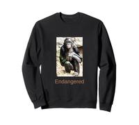Bonobo Camicia in Via di estinzione Bonobo Grande Scimmia in Pericolo Felpa