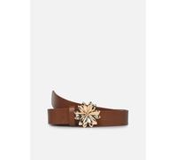 Bonobo - CEINBOUFLEUF Marrone - Cinture 38 - 40 Marrone