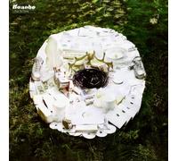 Bonobo - Days To Come (2 LP)