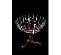 Bonollo Albero delle Coccole 3LT - Grappa OF Amarone Barrique - Confezione Regalo Elegante - Distillato Italiano Pregiato - Idea Regalo Premium