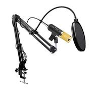 BONOOL Microfono capacitivo USB Registrazione vocale Microfono cablato per kit dal vivo Radio USB professionale Desktop per computer PC