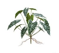 Bonsai artificiale a 12 teste per decorazione da tavolo, pareti, fiori, mensole e decorazioni d'interni (A)