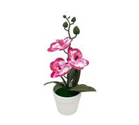 Bonsai artificiale di orchidea, 25 cm | Goditi una bellezza floreale realistica tutto l'anno senza la necessità di irrigazione o luce solare.
