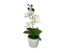 Bonsai artificiale di orchidea, 25 cm | Goditi una bellezza floreale realistica tutto l'anno senza la necessità di irrigazione o luce solare.