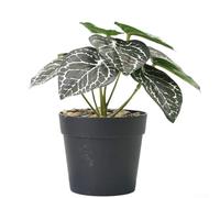 Bonsai artificiale in vaso in plastica per un aspetto uniforme su mensole da scrivania e davanzale nel tempo (B)