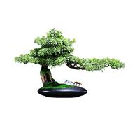 Bonsai artificiale, piante di pino artificiali in stile cinese, decorazione con vaso di ceramica, piante di pino finte decorative for la scrivania ufficio e del tavolo di casa