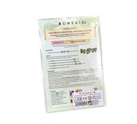 Bonsai Crescita Rigogliosa E Gli Specialisti Espansione 10+ DV Giochi