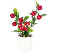 Bonsai di frutta in plastica realistico con base rotonda in pietra a bolla, per decorazione moderna per la casa, soggiorno, camera da letto, ufficio e sfondo creativo per servizi fotografici (frutti