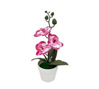 Bonsai di orchidea Phalaenopsis artificiale, pianta realistica in vaso in plastica per interni ed esterni, bordo rosa rosso (finiture fucsia)