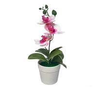 Bonsai di orchidea Phalaenopsis artificiale, pianta realistica in vaso in plastica per interni ed esterni, bordo rosa rosso (cuore viola)