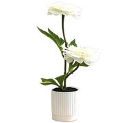 Bonsai di Peonia Simulato Plastica Pianta di Seta per Decorazione per casa Uff