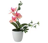 Bonsai di Phalaenopsis simulato squisita pianta artificiale per arredamento casa