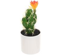 Bonsai Finto Piantina Finta Di Piante Artificiali Cactus Artificiale