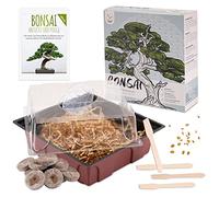 Bonsai Kit incl. eBook GRATUITO - Starter Set con mini serra, semi e suolo - idea regalo sostenibile per gli amanti delle piante (Semi: Wisteria + Melograno nano)