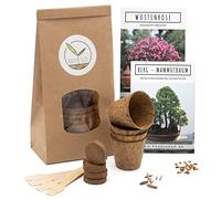 Bonsai Kit in Book GRATUITO - Starter Set con vasi di cocco, semi e terra - idea regalo sostenibile per gli amanti delle piante (Rosa del Deserto + Sequoia Gigante)
