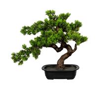 Bonsai Mirto Ca 40x40cm, IN Ciotola Plastica 22x15x6cm, Nero, Plastica Kuns