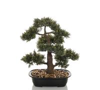 BONSAI - Piante artificiali Verde