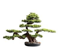 Bonsai Piccoli Accogliente Pino Simulazione Pianta Bonsai Ingresso Soggiorno Pianta verde Grande albero finto Hotel Podocarpus Decorazione Ornamenti Bonsai Artificiali(C)