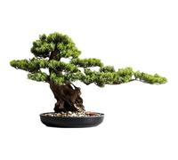 Bonsai Piccoli Accogliente Pino Simulazione Pianta Bonsai Ingresso Soggiorno Pianta verde Grande albero finto Hotel Podocarpus Decorazione Ornamenti Bonsai Artificiali(B)