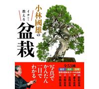 Bonsai Teaching di Kunio Kobayashi Guida per principianti dal Giappone 11, 2019