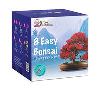 Bonsai Tree Kit | Grow your own 8 beautiful bonsai varieties at home| Complete growing kit - Suitable for beginners and experts - Memorable gift for women, men and children