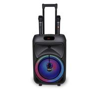 Bontempi 49 1090 Tech Trolley a Batteria Cassa Attiva con 2 Mic palmare wireless
