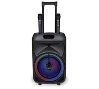 Bontempi 49 1090 Tech Trolley a Batteria Cassa Attiva con 2 Mic palmare wireless