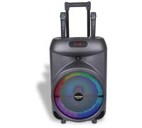Bontempi - TrolleySync - Amplificatore Trolley Karaoke, 53,7x34,1x29,1 cm | con 2 Microfoni Wireless per esperienza