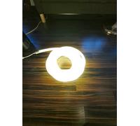 Bonturi Casa Catena Luminosa di Natale DRAGON LIGHT 10 METRI WW