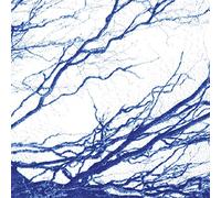 Bony King Of Nowhere - Silent Days -Coloured