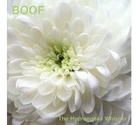 Boof - The Hydrangeas Whisper