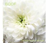 Boof - The Hydrangeas Whisper