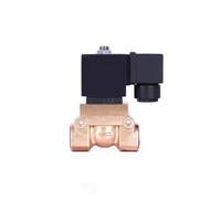 BOOGHIGC Elettrovalvola normalmente Chiusa ad Alta Pressione da 1/4" 50 Bar 8 220 V 110 V 24 V 12 V(G-24VDC)