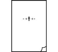 Bing Xu Book from the Ground (Tascabile)