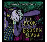 book of broken glass