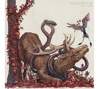 Weddings Book Of Spells (Vinyl LP)