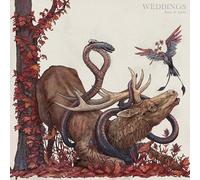 Weddings Book Of Spells (Vinyl LP)