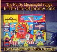 Booka & The Flaming Geckos - Not So Meaningful Songs In The Life Of Jeremy Fink