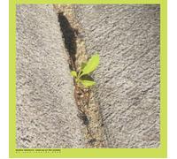 Booker Stardrum - Close-up On The Outside - Vinyl Record - E659z