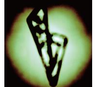 Boom Boom Satellites - Back on My Feet [Import]