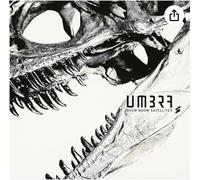 Boom Boom Satellites - Umbra