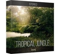 BOOM Library 3DS Tropical Jungle