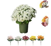 Booneb Artificial Mums, Artificial Outdoor Sunset Mums Flowers, Rich in Color, No Maintenanceno Watering (5Bunches of white)