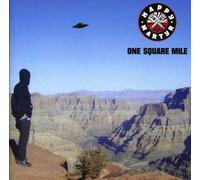 Boorer Boz - One Square Mile