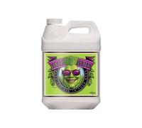 Booster fioritura potenziatore crescita fiori densi advanced nutrients big bud